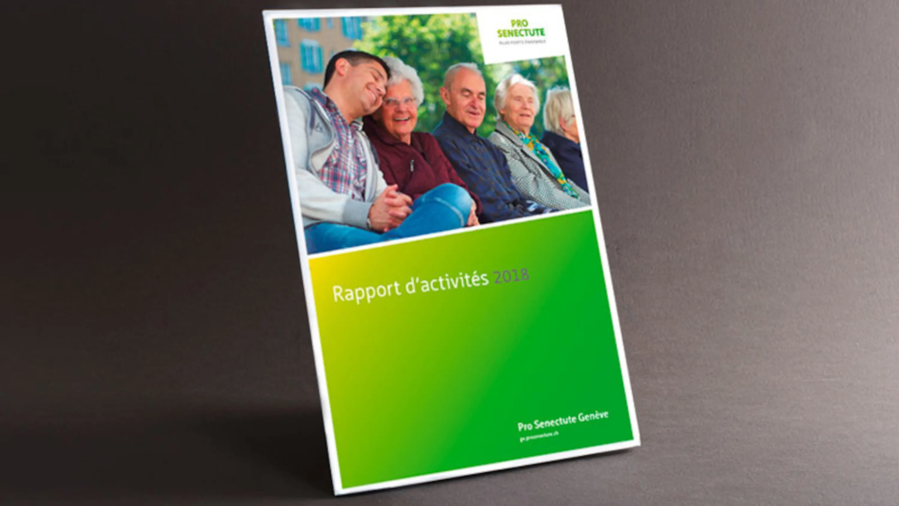 vignette_rapport_annuel